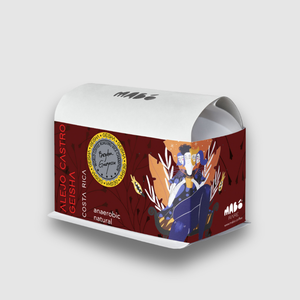 ALEJO CASTRO GEISHA, Costa Rica (Anaerobic Natural) Cafea de Specialitate