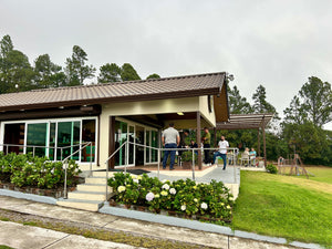 DON PEPE ESTATE, Panama (Washed) Cafea de Specialitate
