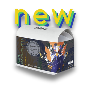 FLOR DO HORIZONTE, Brazil (Geisha Natural) Cafea de Specialitate