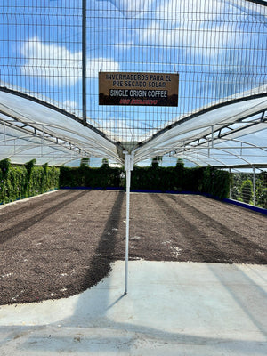 FRANCISCA & OSCAR CHACON, Costa Rica (Washed) Specialty Coffee 