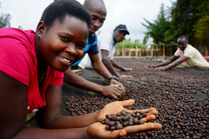NAMISUNI, Uganda (Natural) Cafea de Specialitate