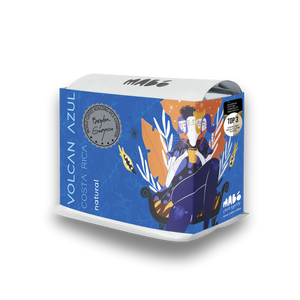 BENCH MAJI, Ethiopia (Washed) Specialty Coffee 