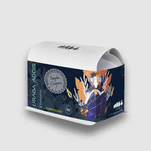 URAGA ADDIS, Ethiopia (Supernatural) Cafea de Specialitate